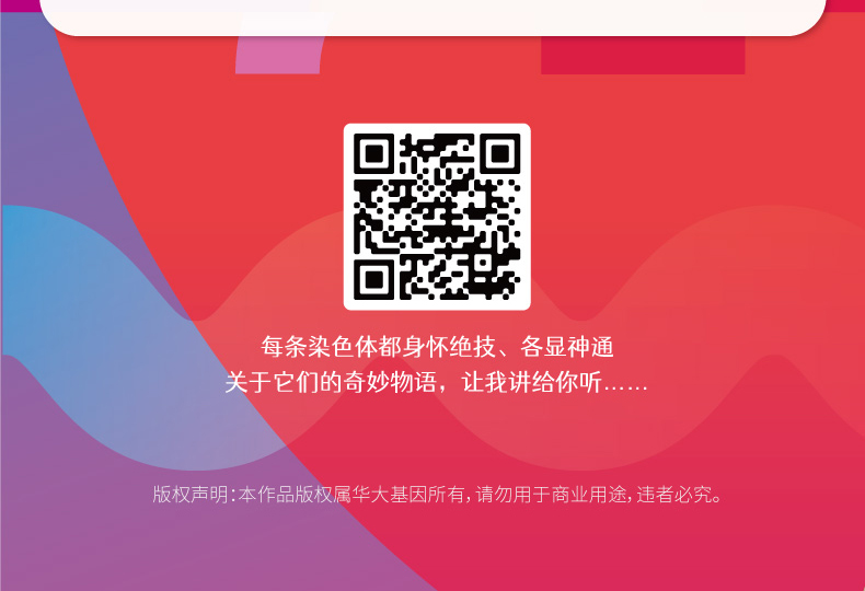 镜脂 轻益生菌压片糖果_05